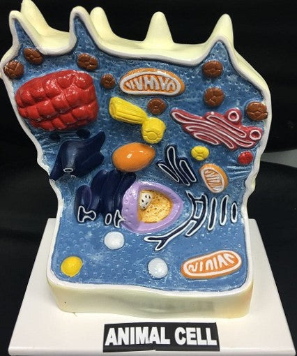 Animal Cell Cake - CakeCentral.com